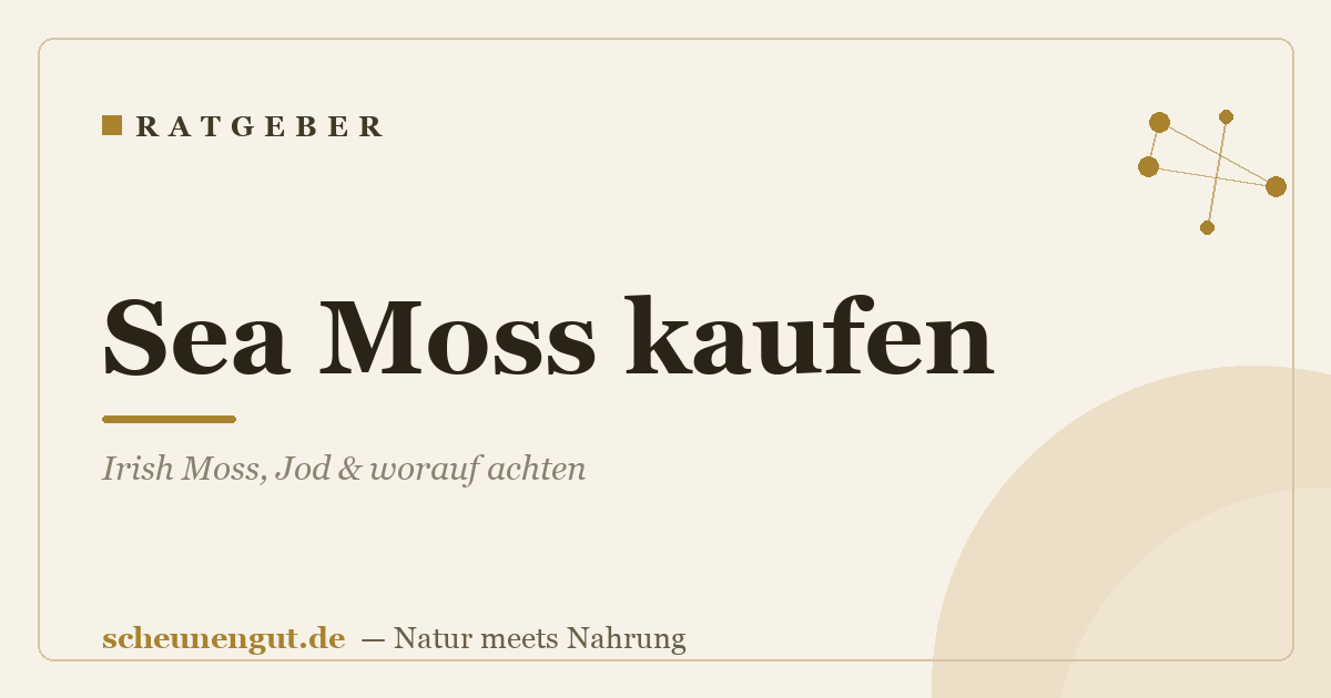 Sea Moss kaufen: Irish Moss, Jod & worauf achten