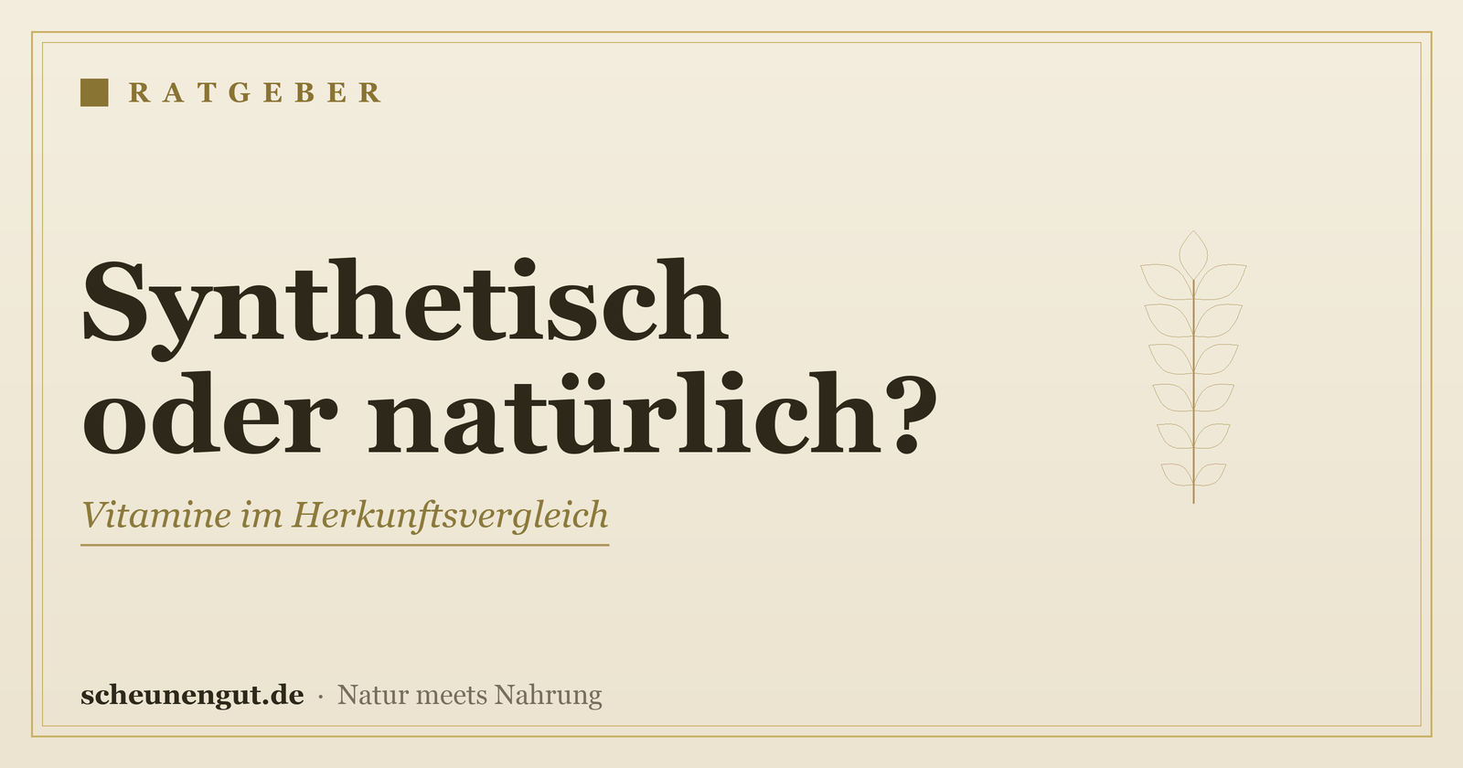 Synthetische oder natürliche Vitamine? Der Vergleich – Ratgeber von Scheunengut
