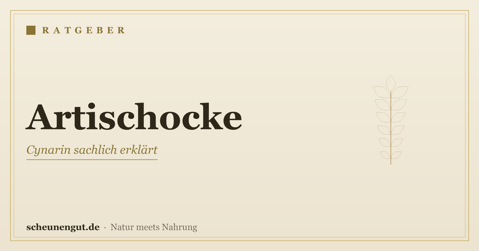 Artischocke & Cynarin sachlich erklärt – Ratgeber von Scheunengut