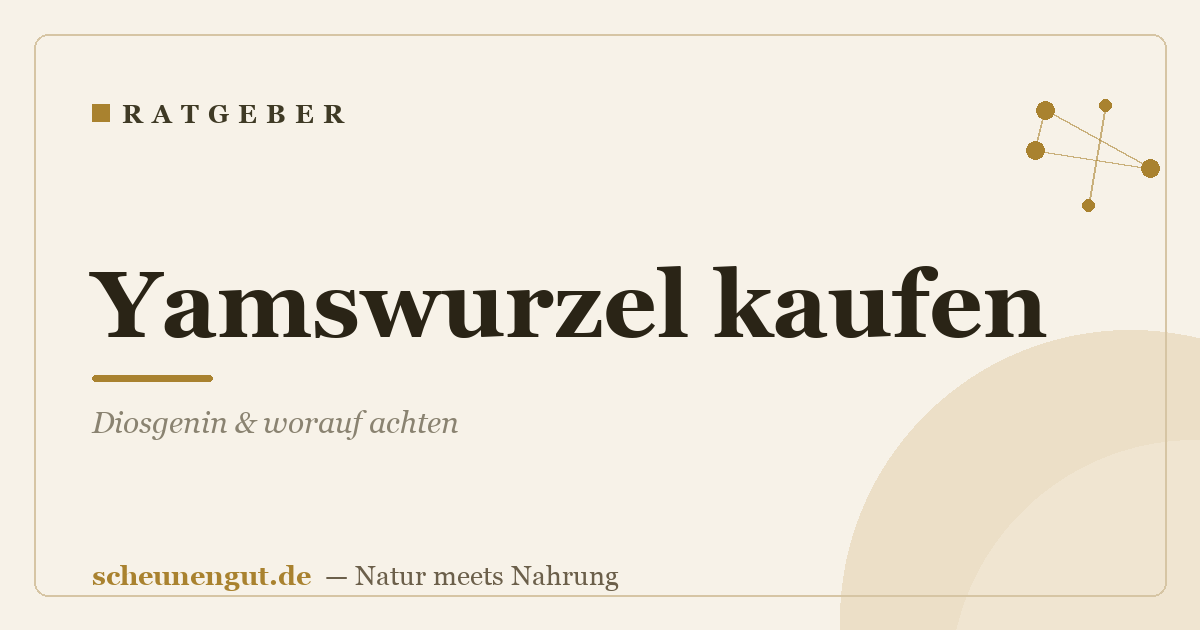 Yamswurzel kaufen: Diosgenin & worauf achten
