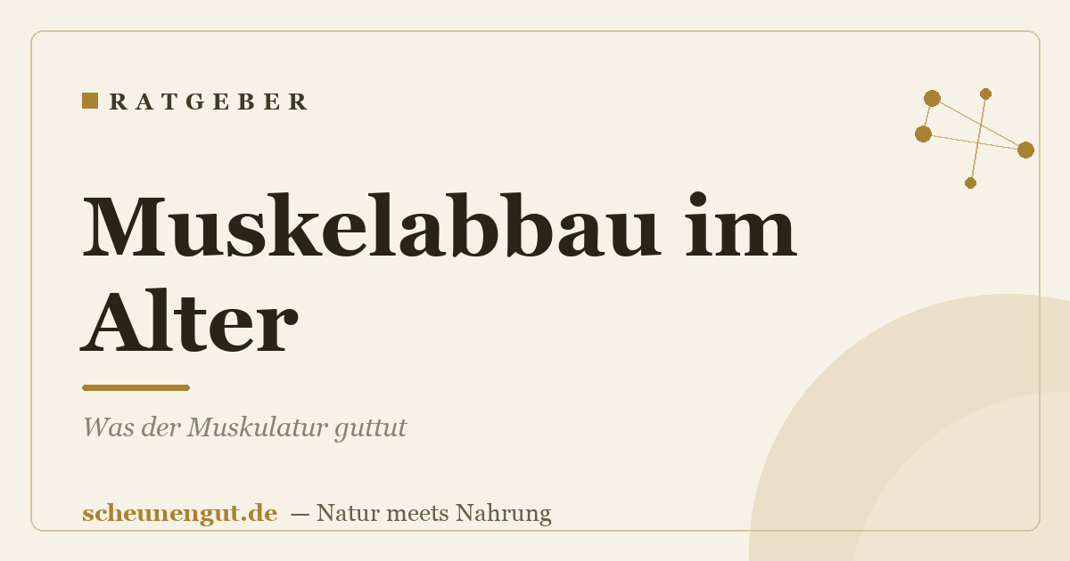 Muskelabbau im Alter: Was der Muskulatur guttut
