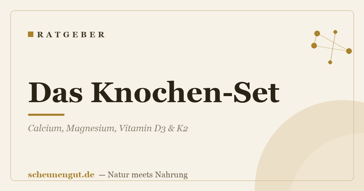 Das Knochen-Set: Calcium, Magnesium, Vitamin D3 & K2