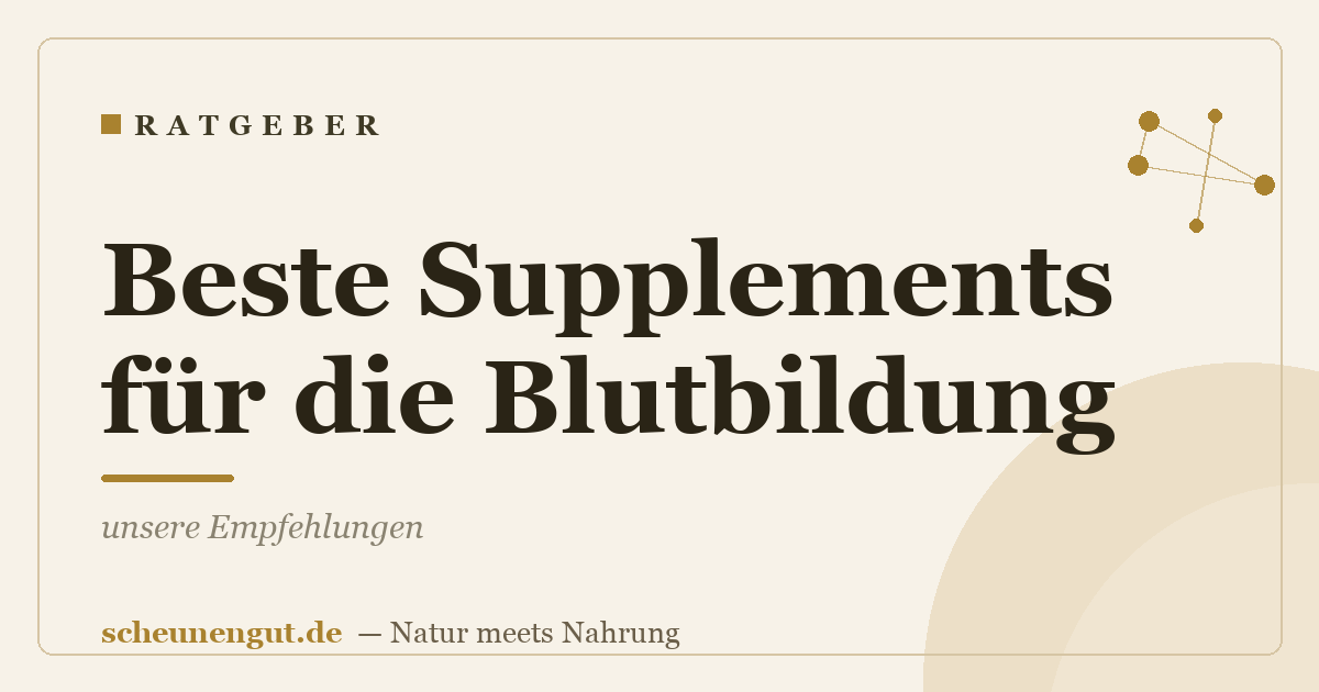 Beste Supplements für die Blutbildung: unsere Empfehlungen