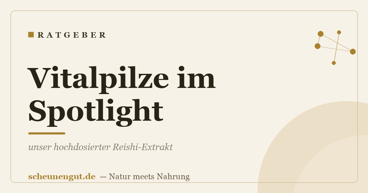 Vitalpilze im Spotlight: unser hochdosierter Reishi-Extrakt
