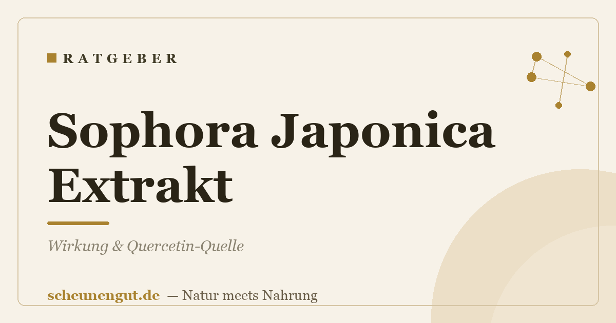 Sophora Japonica Extrakt: Wirkung & Quercetin-Quelle