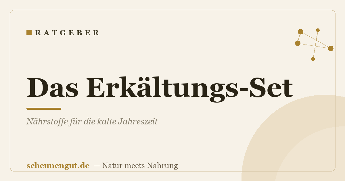 Das Erkältungs-Set: Nährstoffe für die kalte Jahreszeit