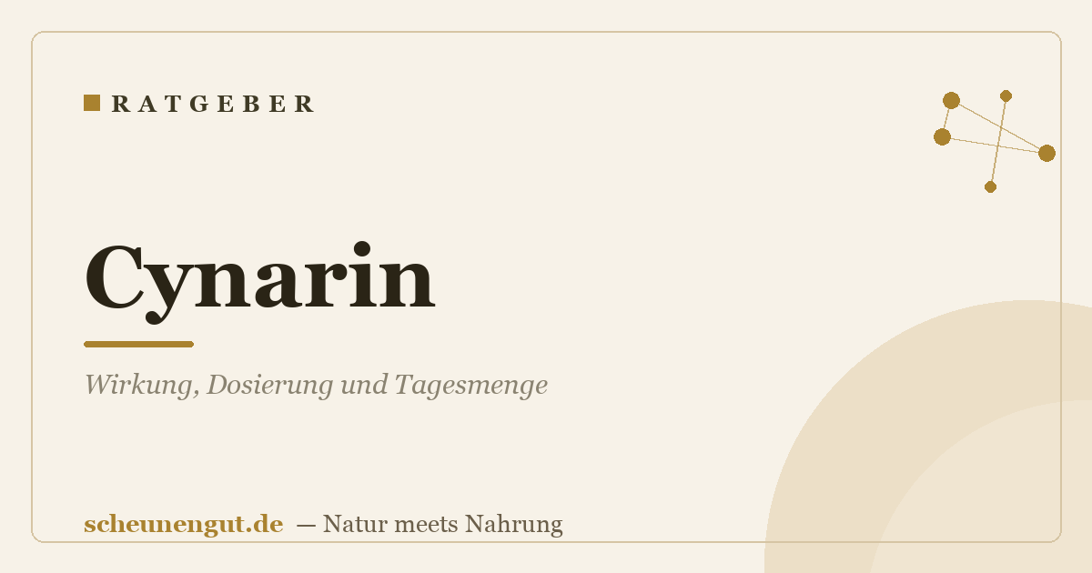 Cynarin: Wirkung, Dosierung und Tagesmenge