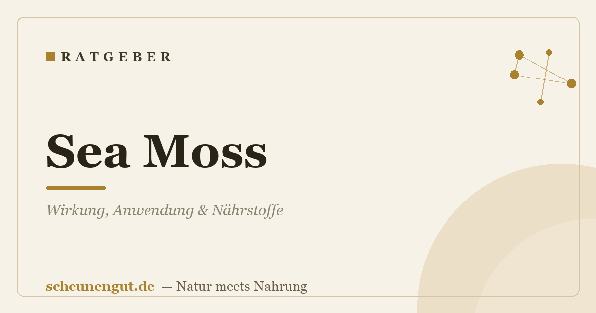Sea Moss: Wirkung, Anwendung & Nährstoffe