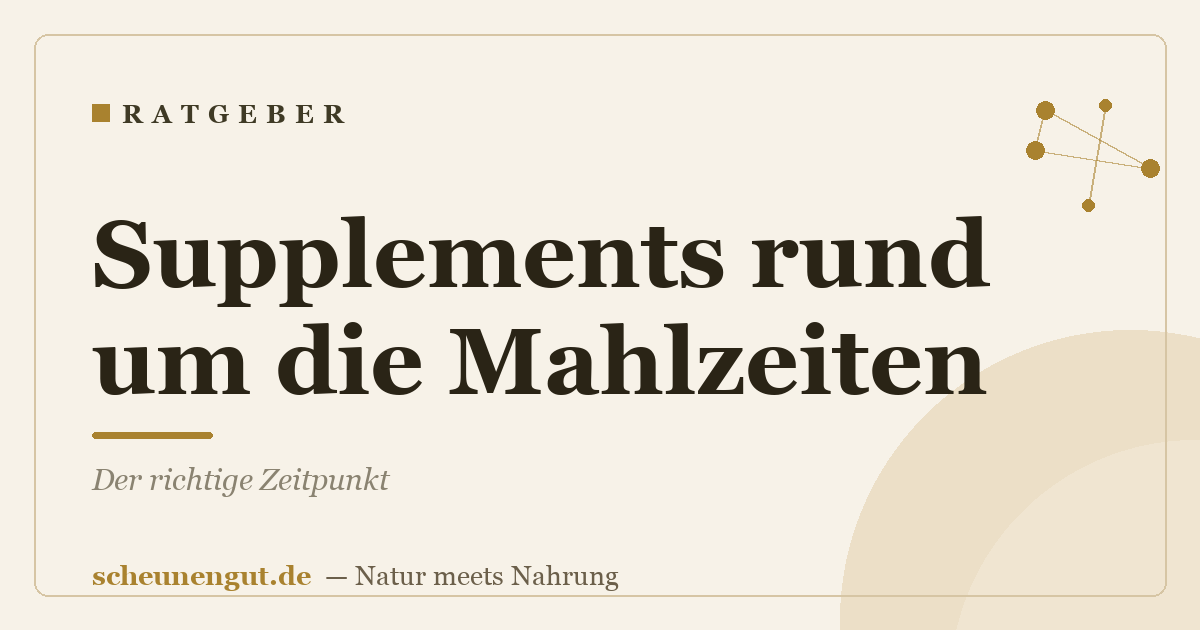 Supplements rund um die Mahlzeiten: Der richtige Zeitpunkt
