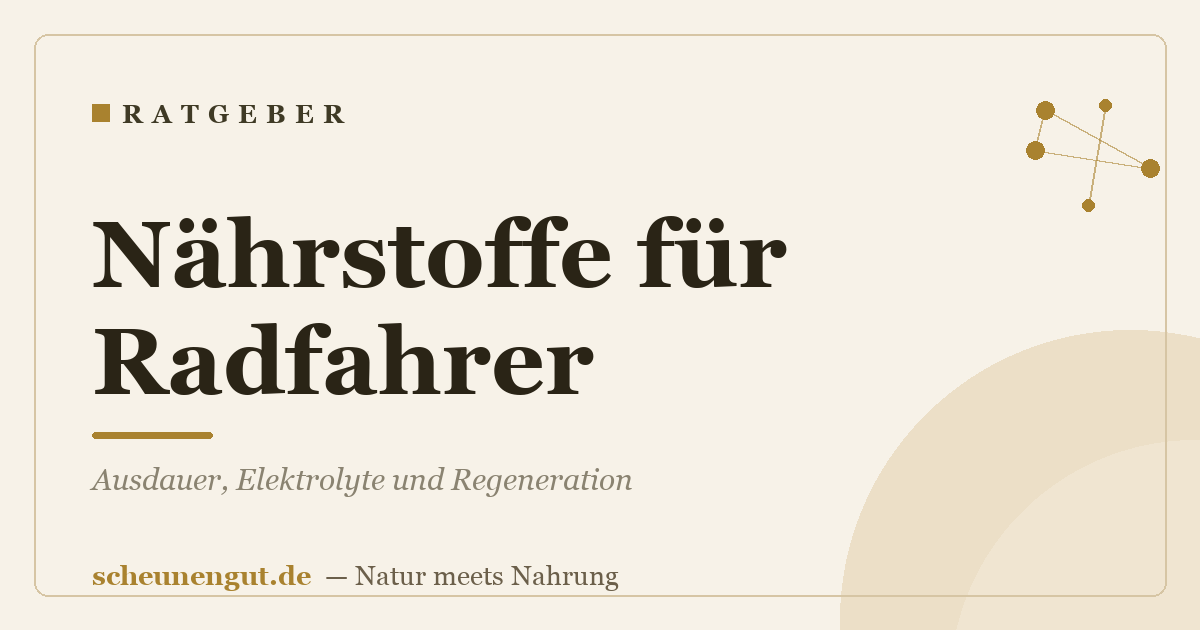 Nährstoffe für Radfahrer: Ausdauer, Elektrolyte und Regeneration