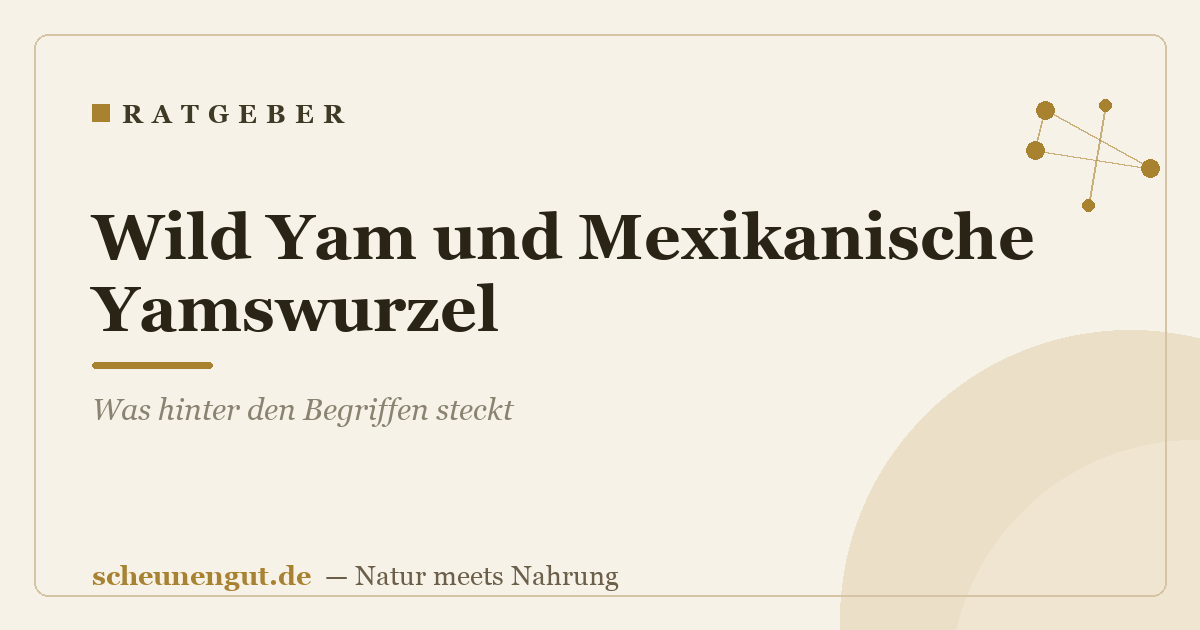 Wild Yam und Mexikanische Yamswurzel: Was hinter den Begriffen steckt
