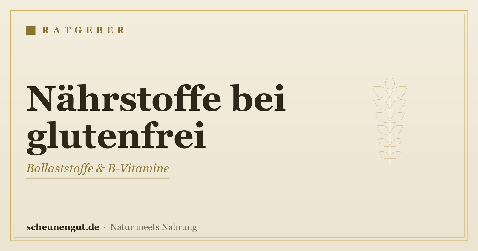 Nährstoffe bei glutenfreier Ernährung – Ratgeber von Scheunengut
