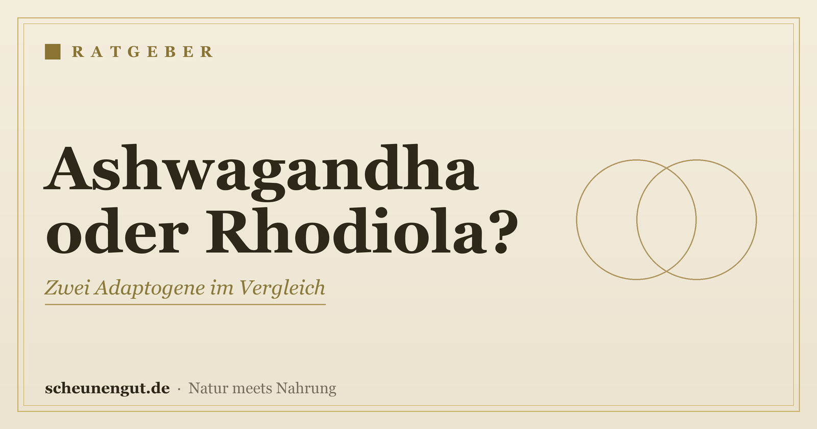 Ashwagandha oder Rhodiola? Adaptogene im Vergleich – Ratgeber von Scheunengut