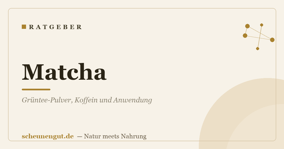 Matcha: Grüntee-Pulver, Koffein und Anwendung
