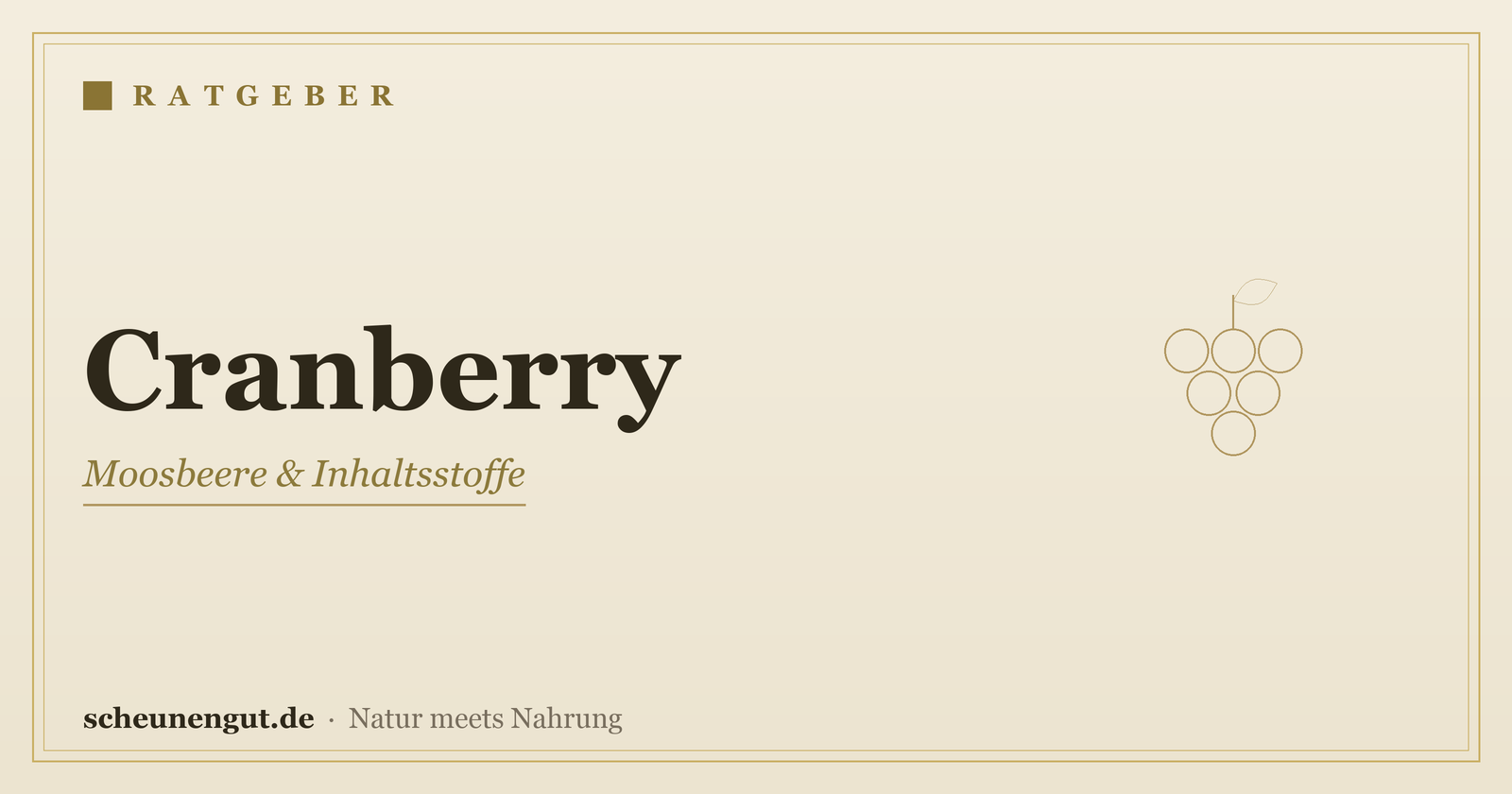 Cranberry: Die Moosbeere sachlich erklärt – Ratgeber von Scheunengut