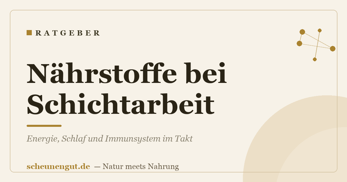 Nährstoffe bei Schichtarbeit: Energie, Schlaf und Immunsystem im Takt