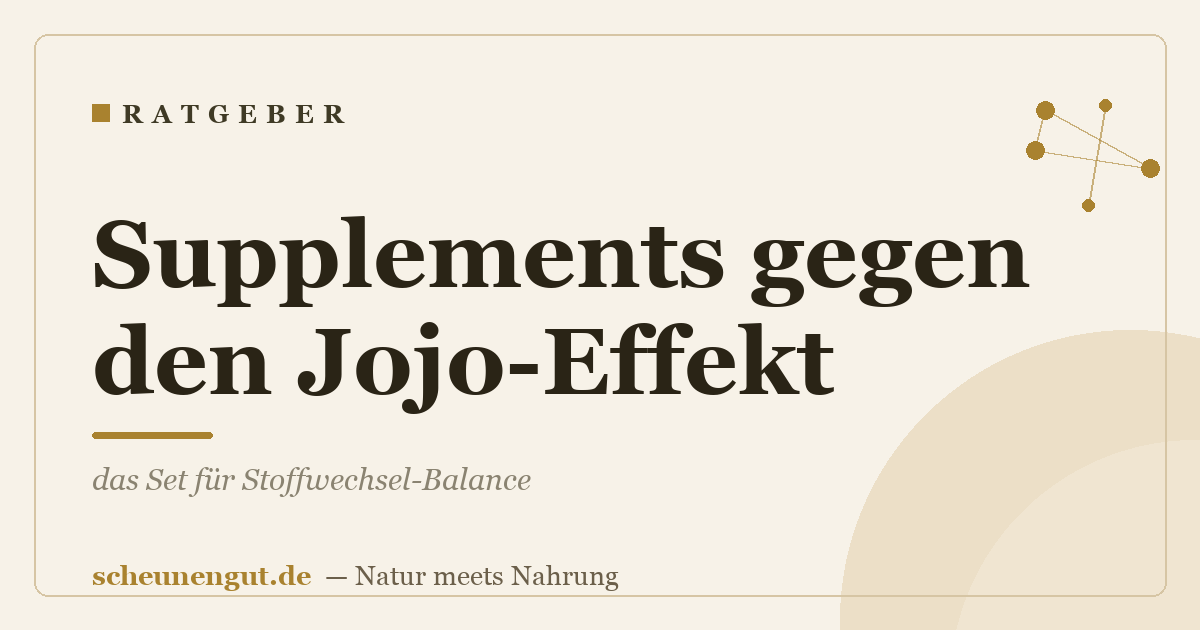 Supplements gegen den Jojo-Effekt: das Set für Stoffwechsel-Balance