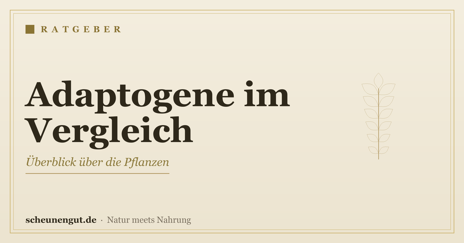 Adaptogene: Überblick & Vergleich – Ratgeber von Scheunengut