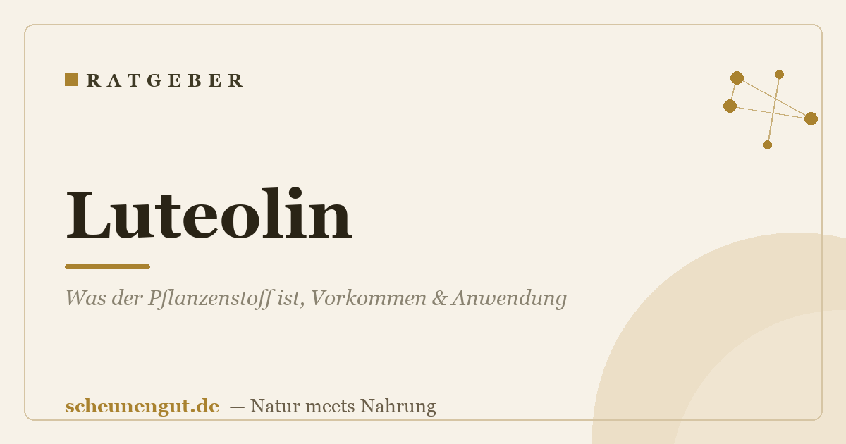 Luteolin: Was der Pflanzenstoff ist, Vorkommen & Anwendung