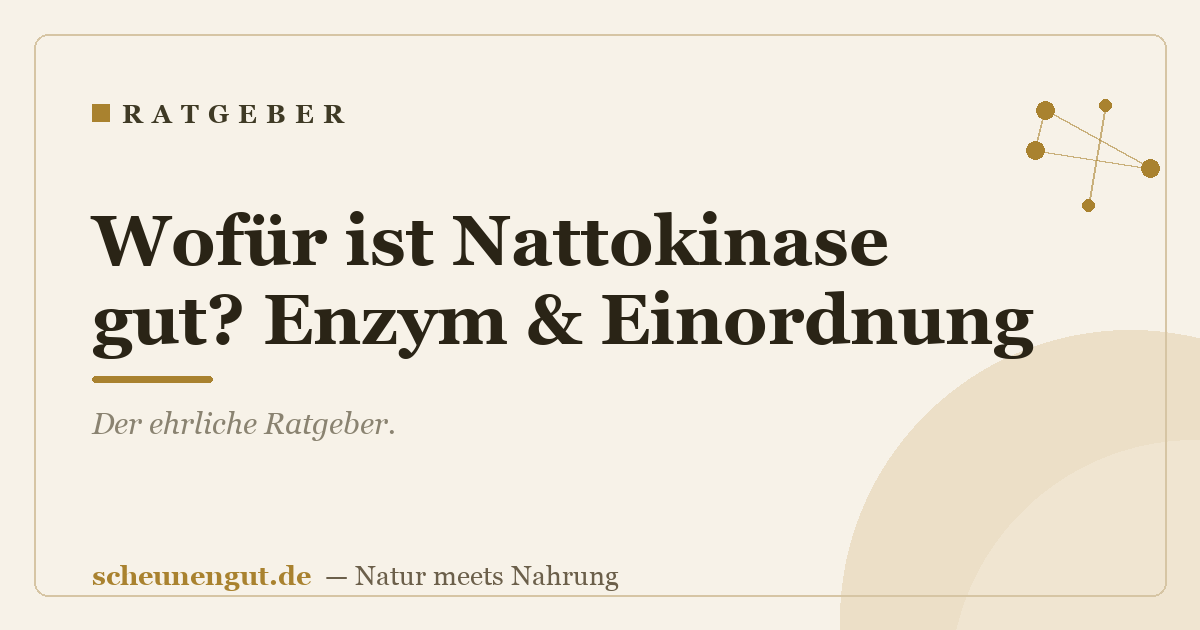 Wofür ist Nattokinase gut? Enzym & Einordnung
