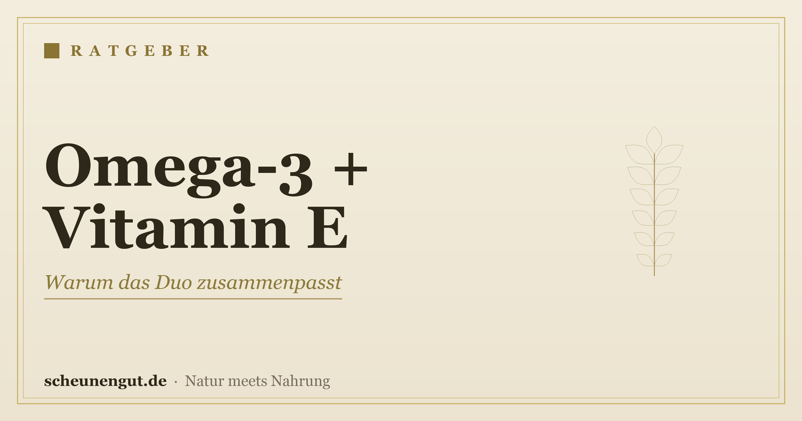 Omega-3 und Vitamin E zusammen einnehmen? – Ratgeber von Scheunengut