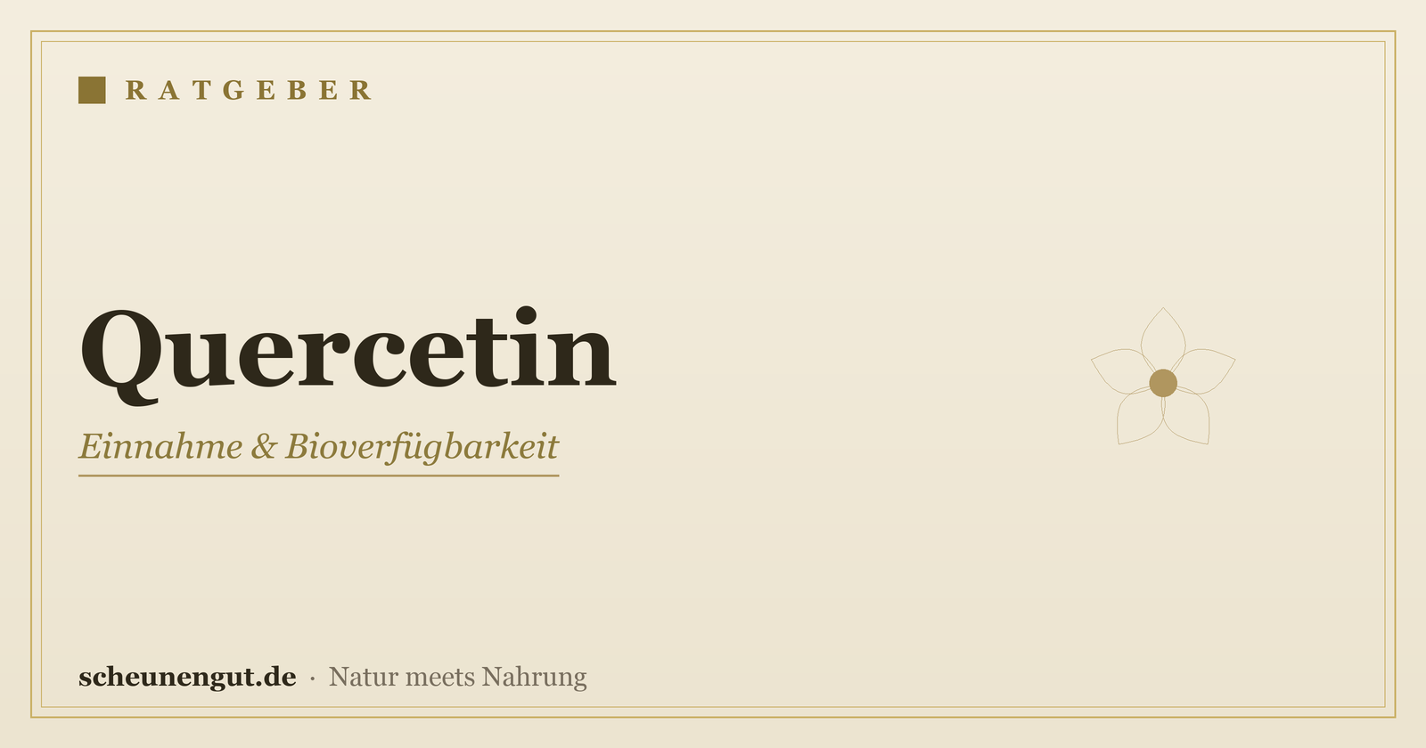 Quercetin: Einnahme & Bioverfügbarkeit – Ratgeber von Scheunengut