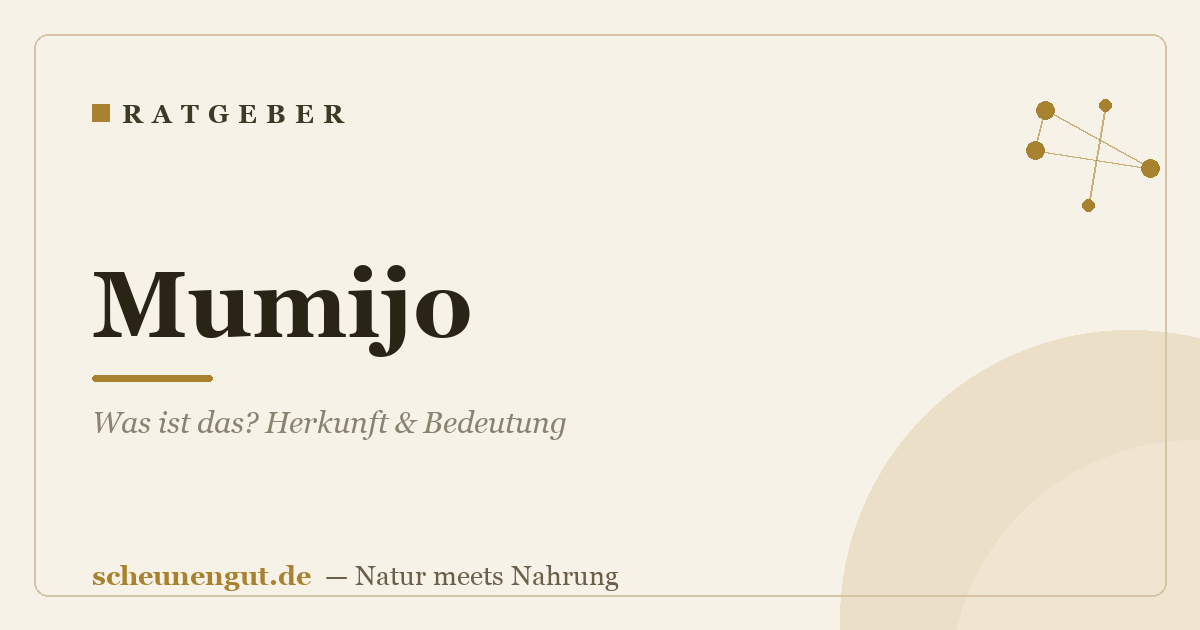 Mumijo: Was ist das? Herkunft & Bedeutung