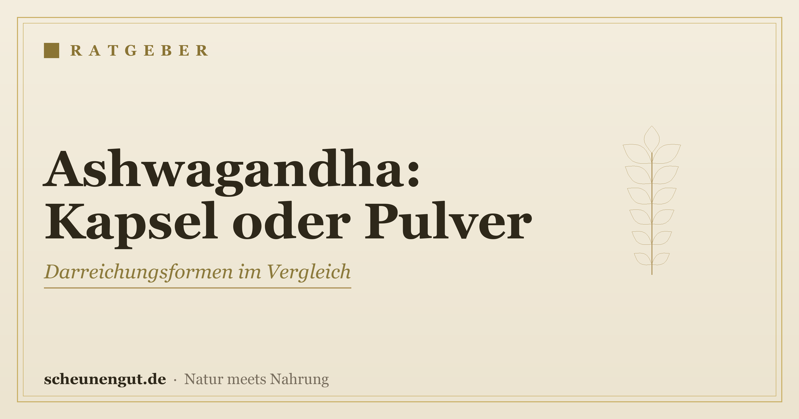 Ashwagandha: Kapsel oder Pulver? – Ratgeber von Scheunengut