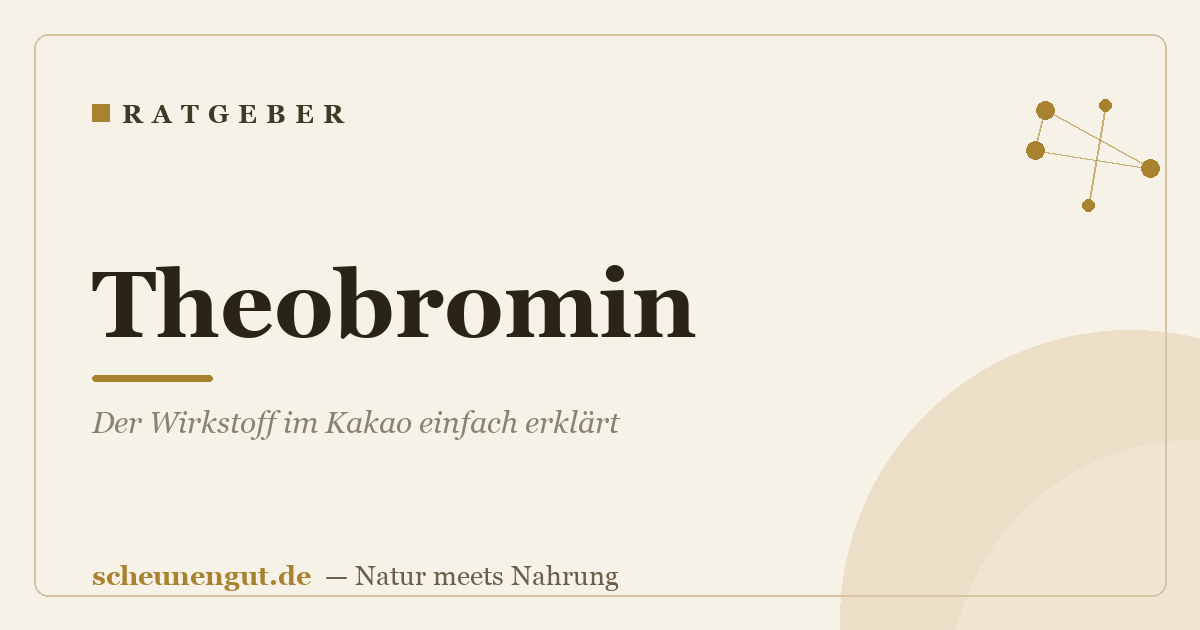 Theobromin: Der Wirkstoff im Kakao einfach erklärt
