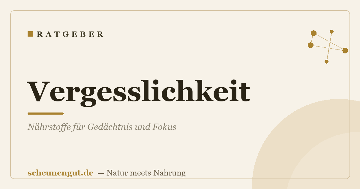 Vergesslichkeit: Nährstoffe für Gedächtnis und Fokus