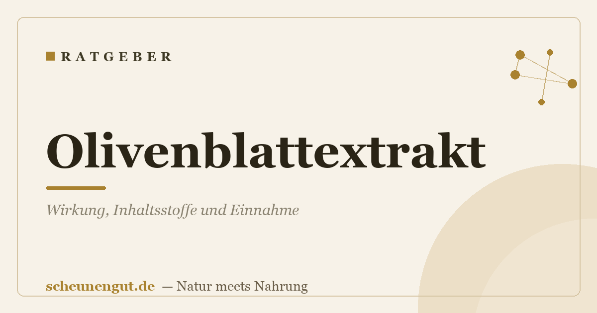 Olivenblattextrakt: Wirkung, Inhaltsstoffe und Einnahme