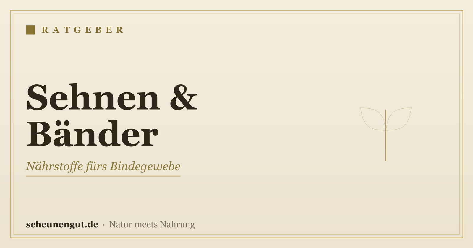 Nährstoffe für Sehnen und Bänder – Ratgeber von Scheunengut