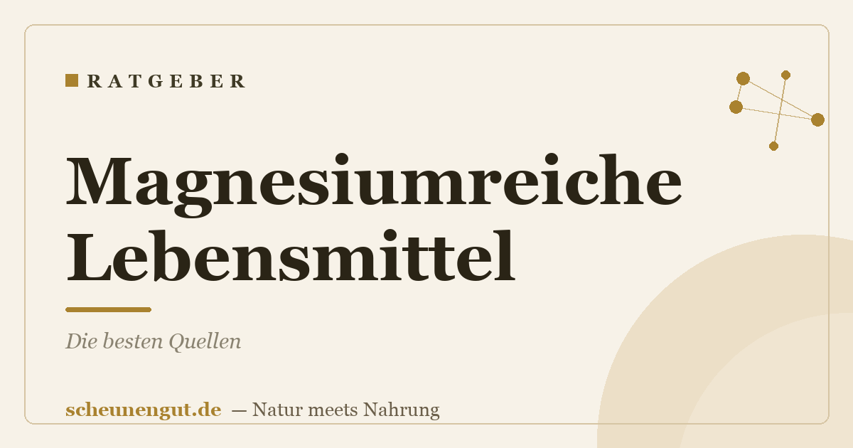 Magnesiumreiche Lebensmittel: Die besten Quellen