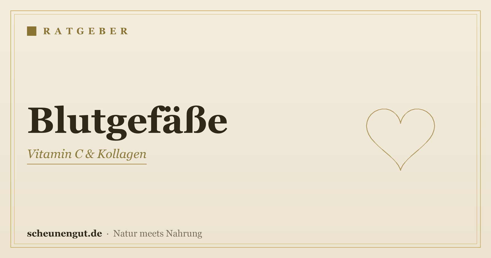 Nährstoffe für normale Blutgefäße – Ratgeber von Scheunengut