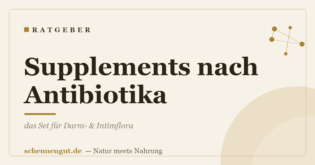 Supplements nach Antibiotika: das Set für Darm- & Intimflora
