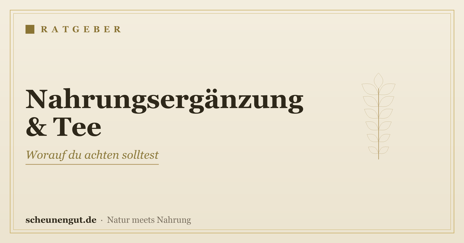 Nahrungsergänzung & Tee: was beachten? – Ratgeber von Scheunengut