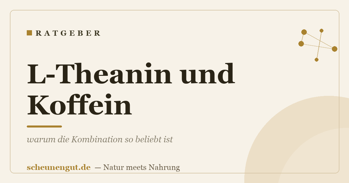 L-Theanin und Koffein: warum die Kombination so beliebt ist
