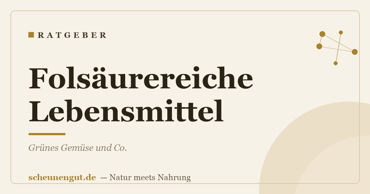 Folsäurereiche Lebensmittel: Grünes Gemüse und Co.