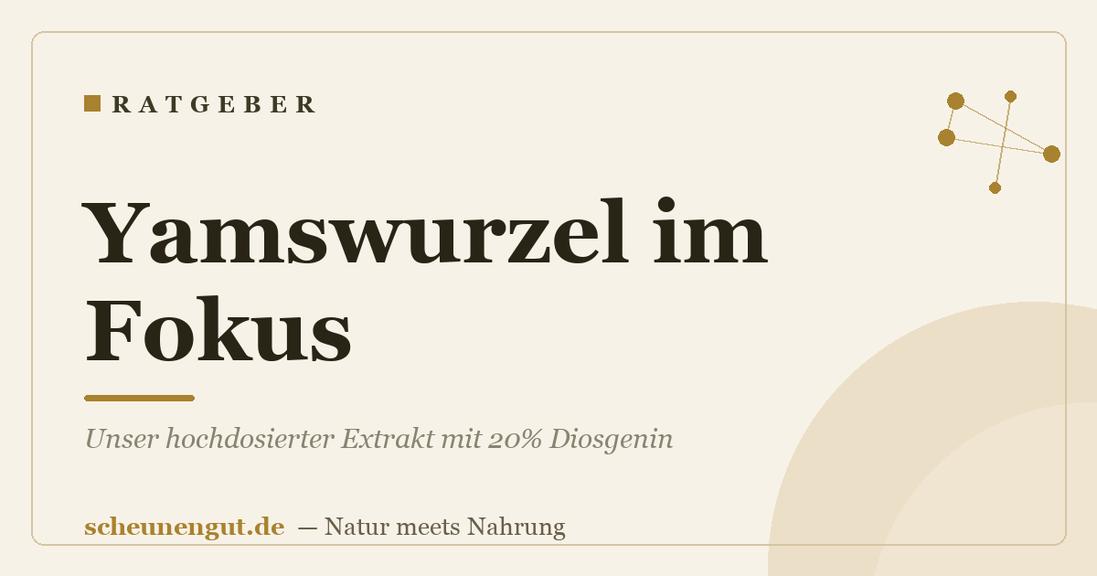 Yamswurzel im Fokus: Unser hochdosierter Extrakt mit 20% Diosgenin