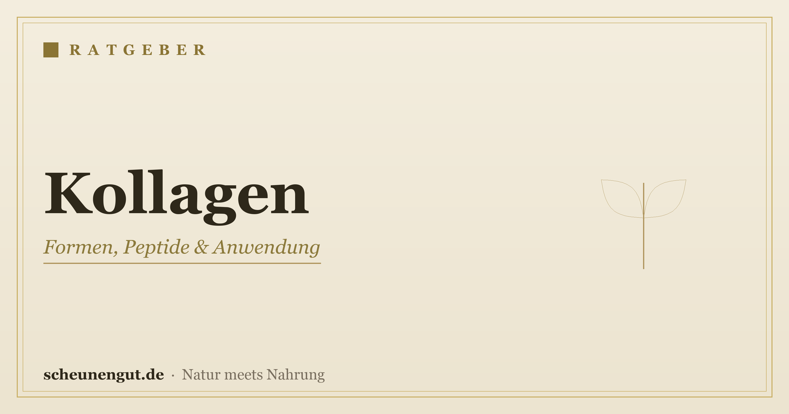Kollagen: Formen, Peptide & Anwendung – Ratgeber von Scheunengut