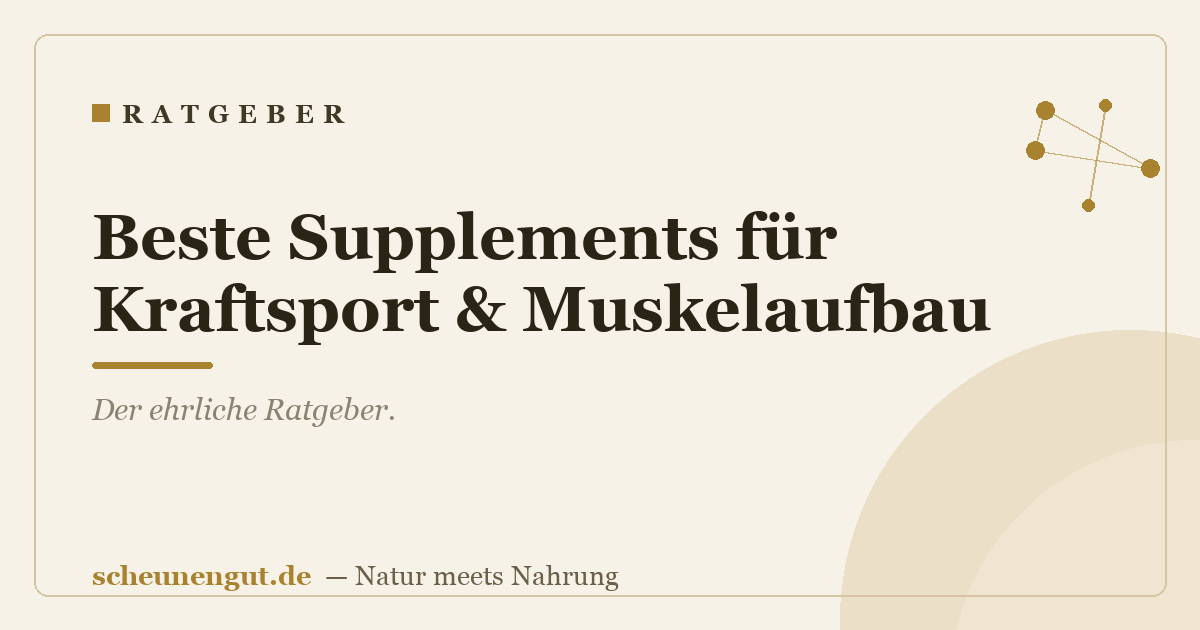 Beste Supplements für Kraftsport & Muskelaufbau