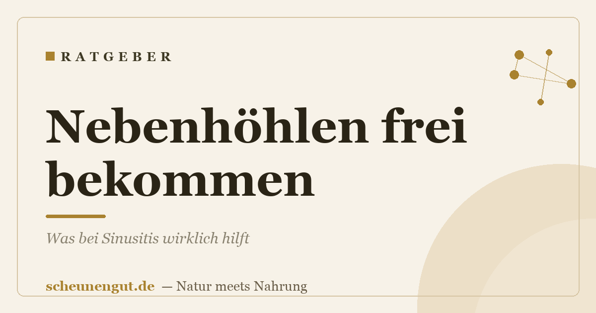Nebenhöhlen frei bekommen: Was bei Sinusitis wirklich hilft