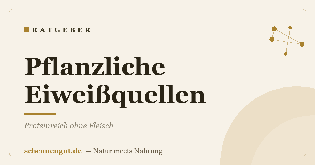 Pflanzliche Eiweißquellen: Proteinreich ohne Fleisch