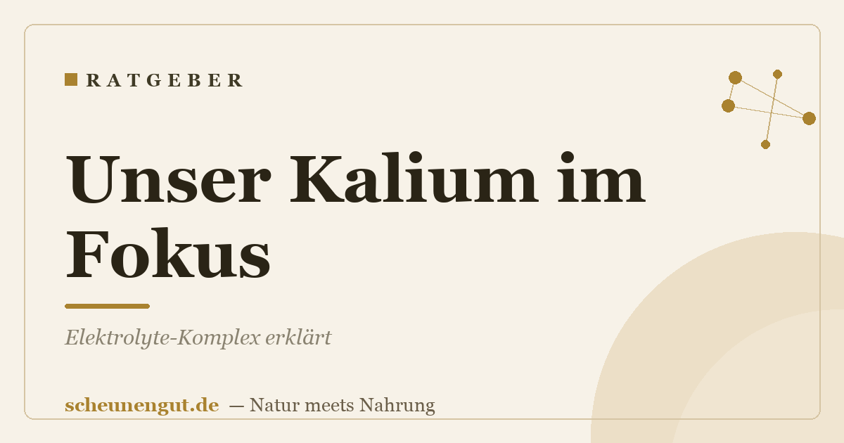 Unser Kalium im Fokus: Elektrolyte-Komplex erklärt