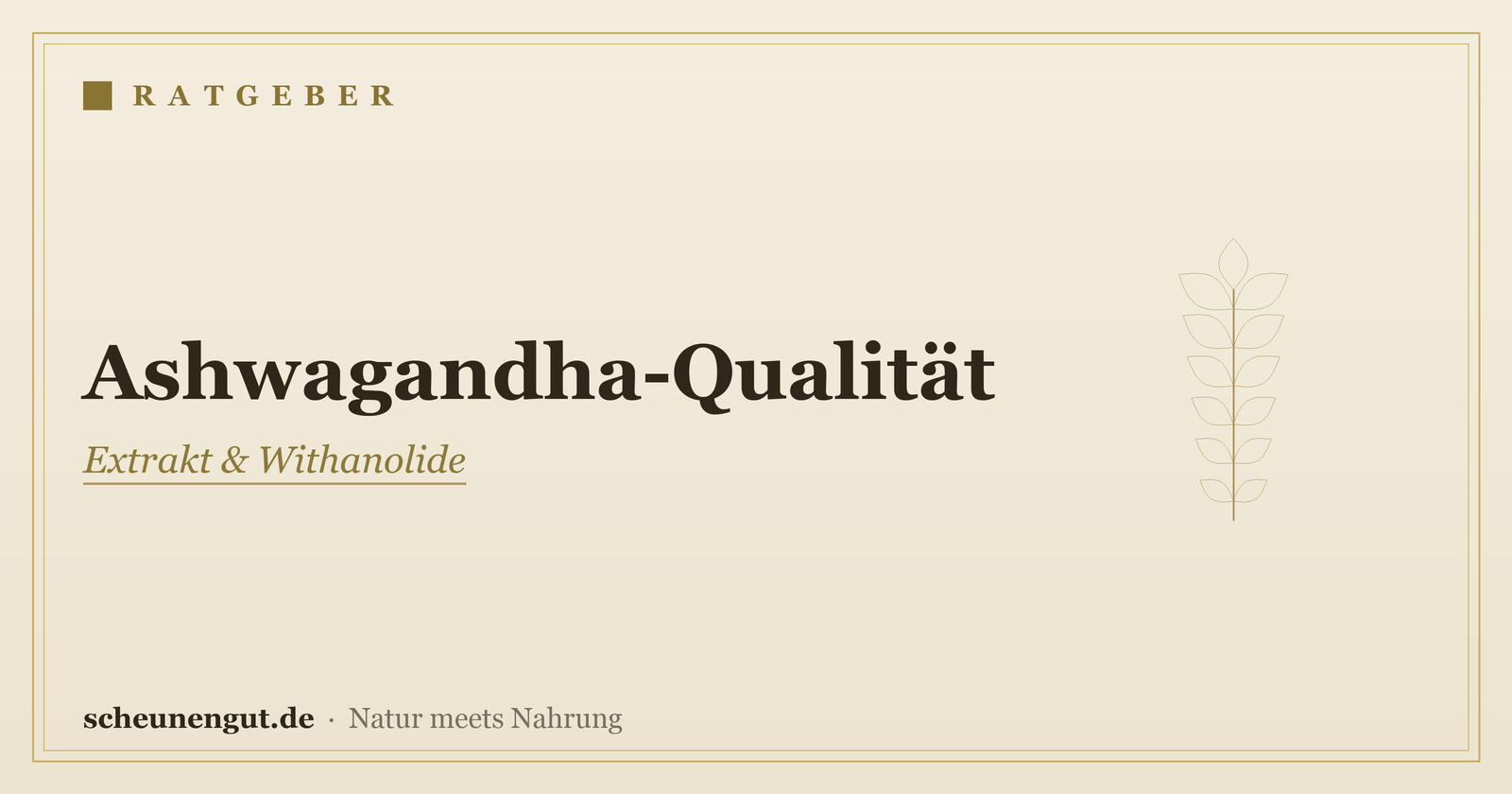 Ashwagandha-Qualität erkennen – Ratgeber von Scheunengut