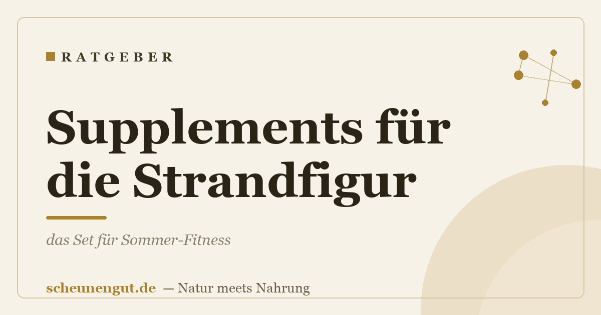 Supplements für die Strandfigur: das Set für Sommer-Fitness