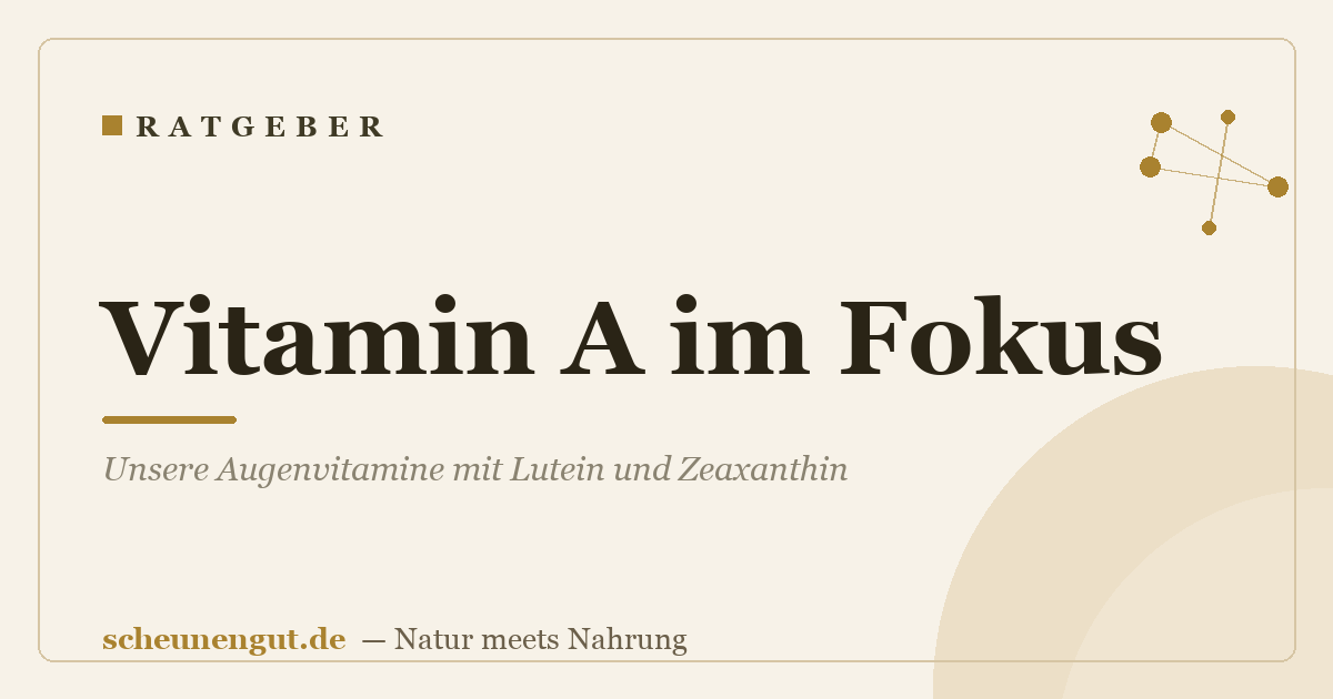 Vitamin A im Fokus: Unsere Augenvitamine mit Lutein und Zeaxanthin