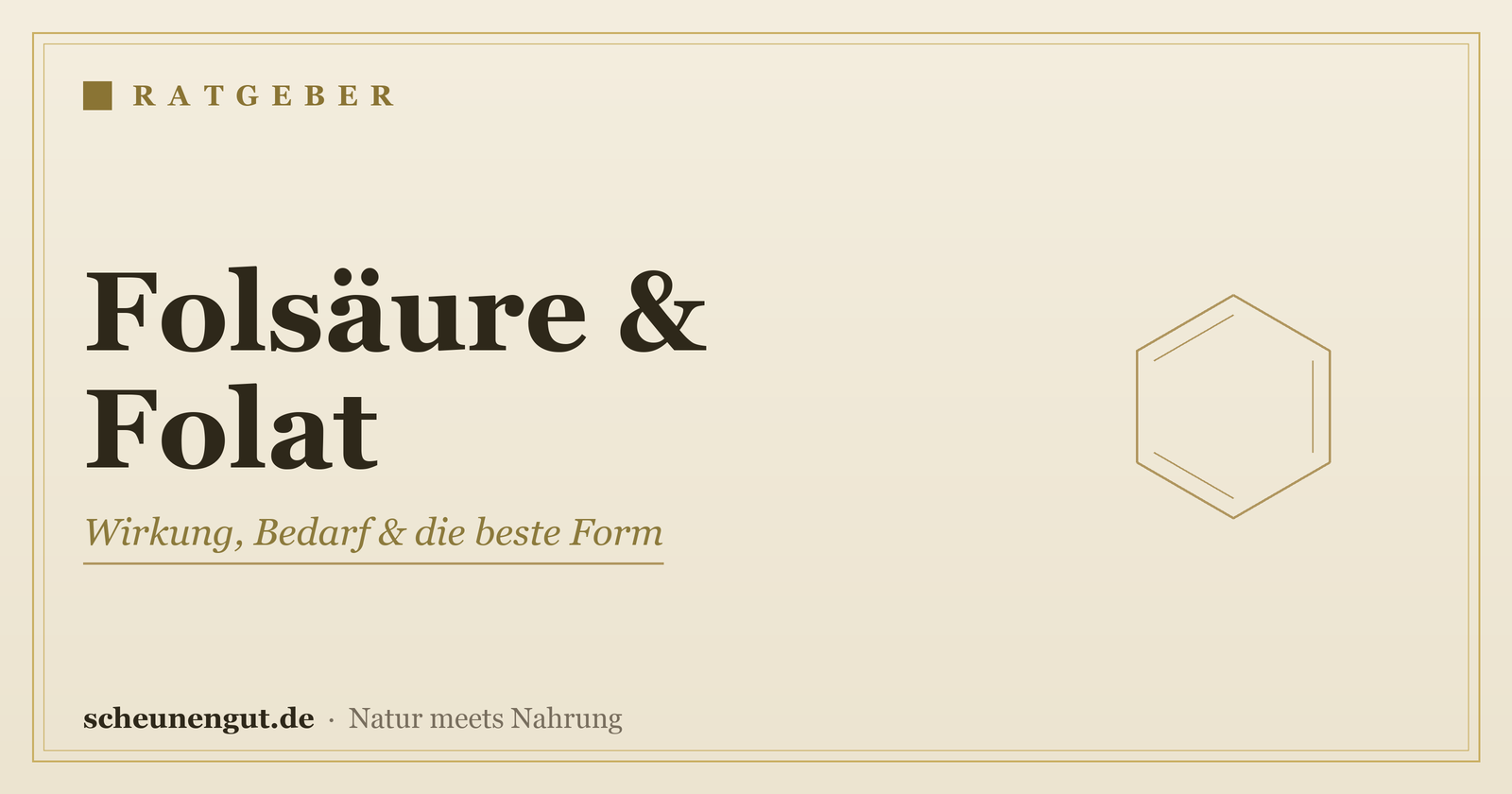 Folsäure und Folat – Ratgeber von Scheunengut