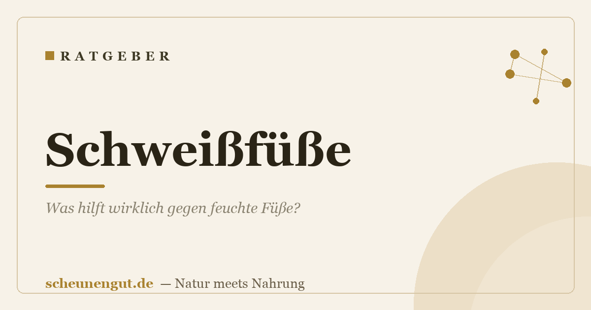 Schweißfüße: Was hilft wirklich gegen feuchte Füße?