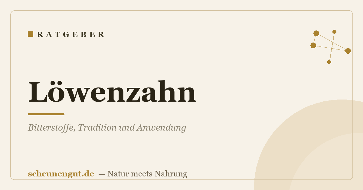 Löwenzahn: Bitterstoffe, Tradition und Anwendung